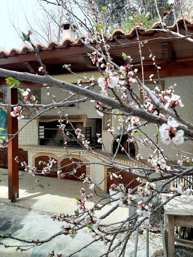 Iro's House *